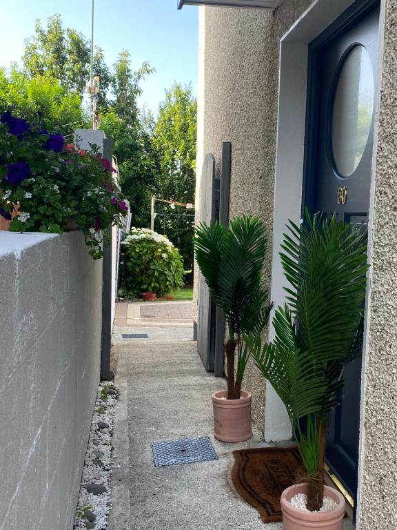 Zahrada ubytování Summer Cottage in Kinsale
