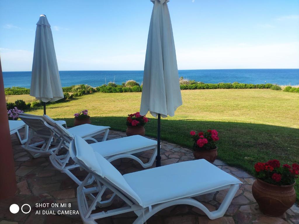un gruppo di sedie da giardino con ombrelloni e l'oceano di MARONIA Villa a Marónia