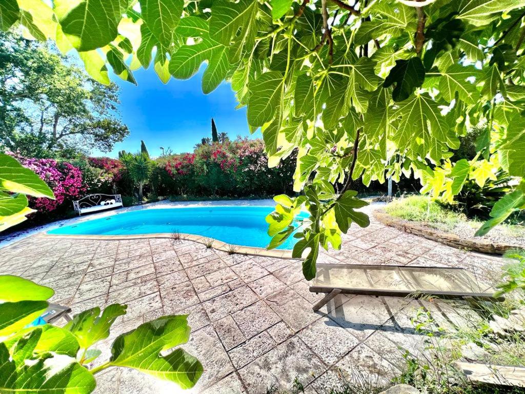 una piscina in un giardino con piante di L'île Verte a La Ciotat