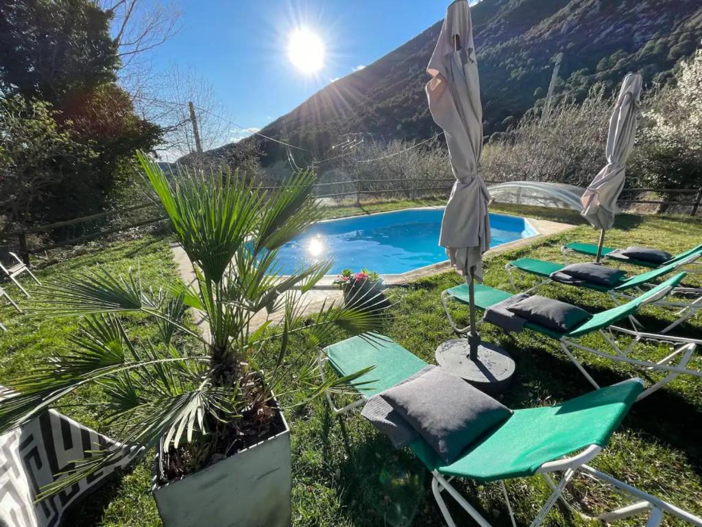 Blick auf einen Pool mit Stühlen und einer Palme in der Unterkunft Gran Company in Oden