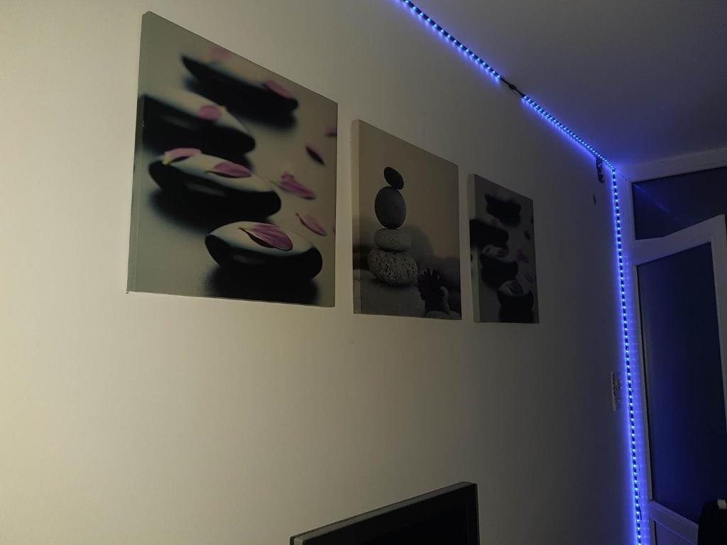 um quarto com três fotografias de sapatos na parede em EXIT apartman em Novi Sad