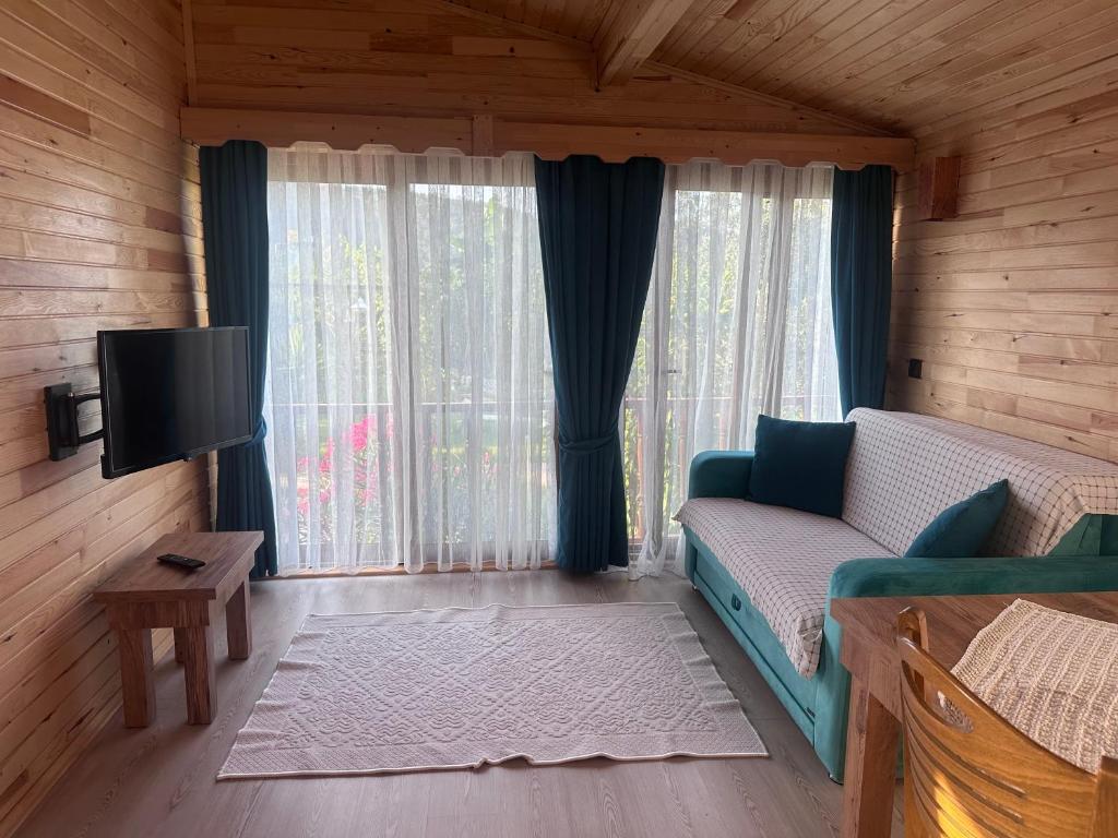 TV a/nebo společenská místnost v ubytování Rüya Villen Park