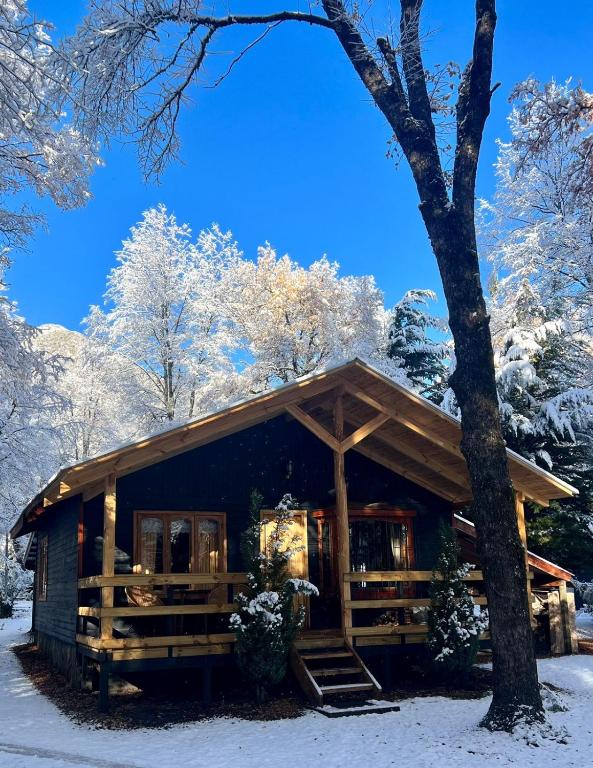 Cabañas Bosque las Trancas en invierno