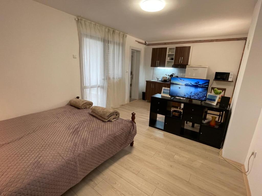a bedroom with a bed and a flat screen tv at Smeštaj Nedić Karaula in Zlatibor