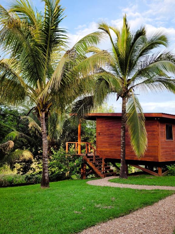 Deux palmiers devant une maison en bois dans l'établissement Yumas Riverfront Lodge, à San Ignacio