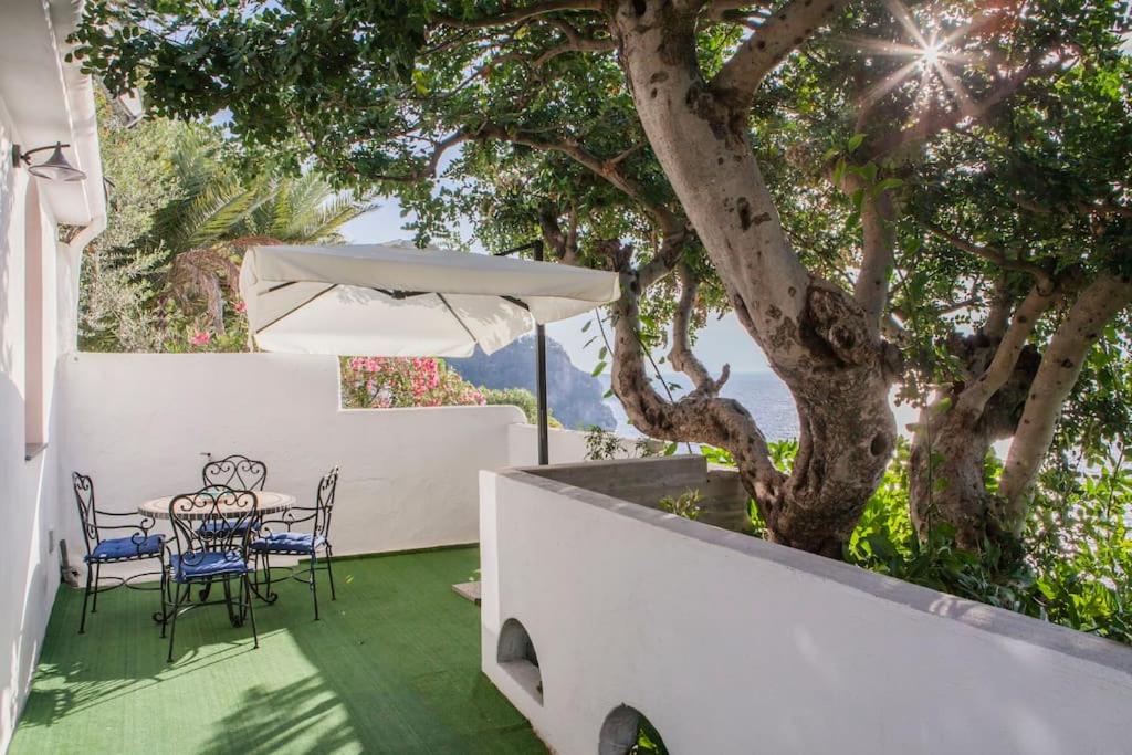 Κήπος έξω από το Villa Lena