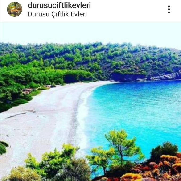 vistas a una playa con agua azul y árboles en DURUSU ÇİFTLİKEVLERİ, en Datça