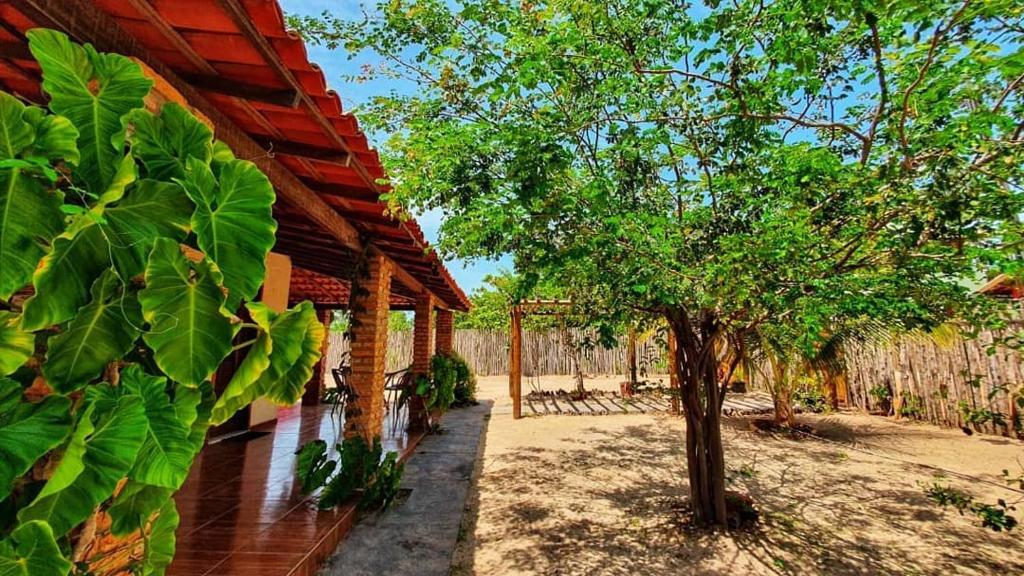 a house with a tree next to a building at Casa Barra Jucá - Barra Grande Piauí in Barra Grande