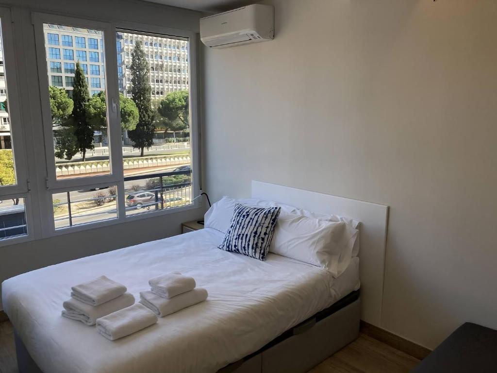 Castellana 4 torres Apartments