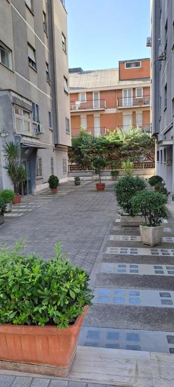 un patio con macetas y edificios con árboles en A&M house, en Roma