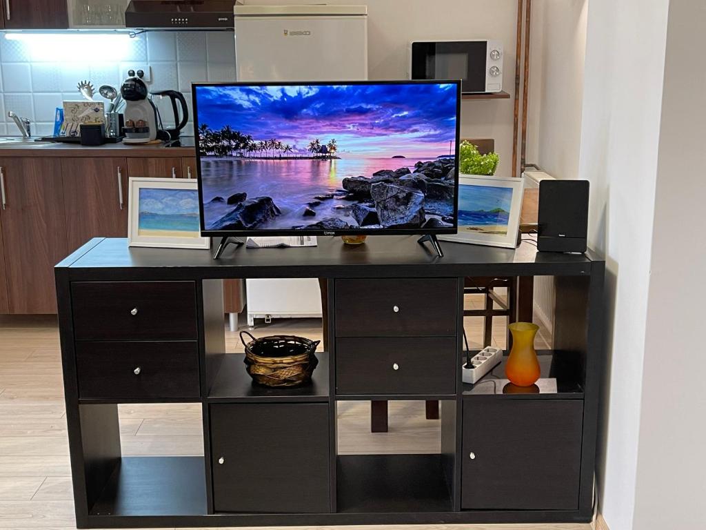 a black entertainment center with a flat screen tv on top at Smeštaj Nedić Karaula in Zlatibor