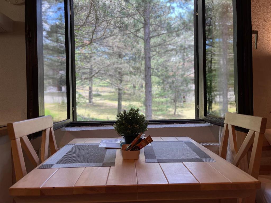 a wooden table with a potted plant in front of a window at Smeštaj Nedić Karaula in Zlatibor