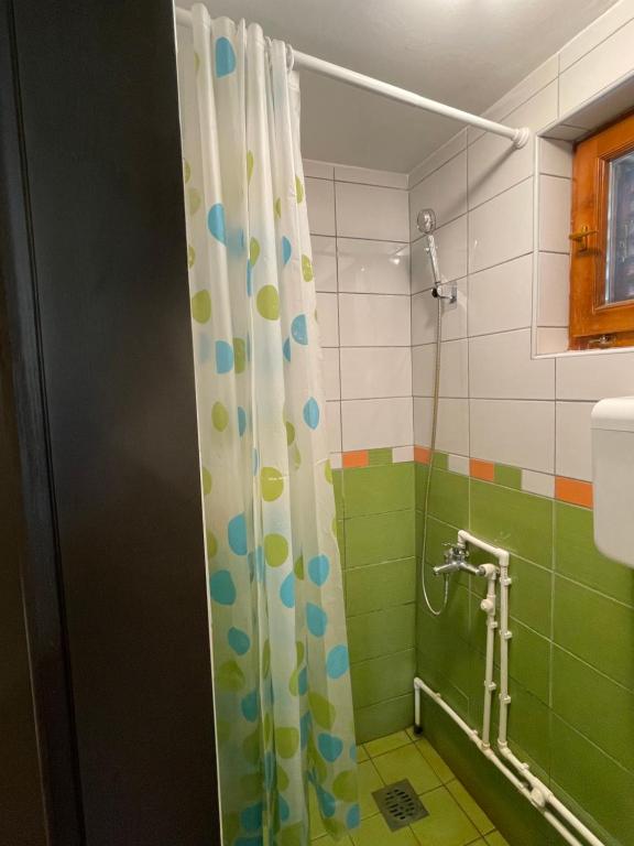 a bathroom with a shower with a shower curtain at Smeštaj Nedić Karaula in Zlatibor