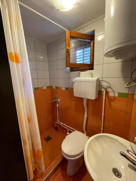 a small bathroom with a toilet and a sink at Smeštaj Nedić Karaula in Zlatibor