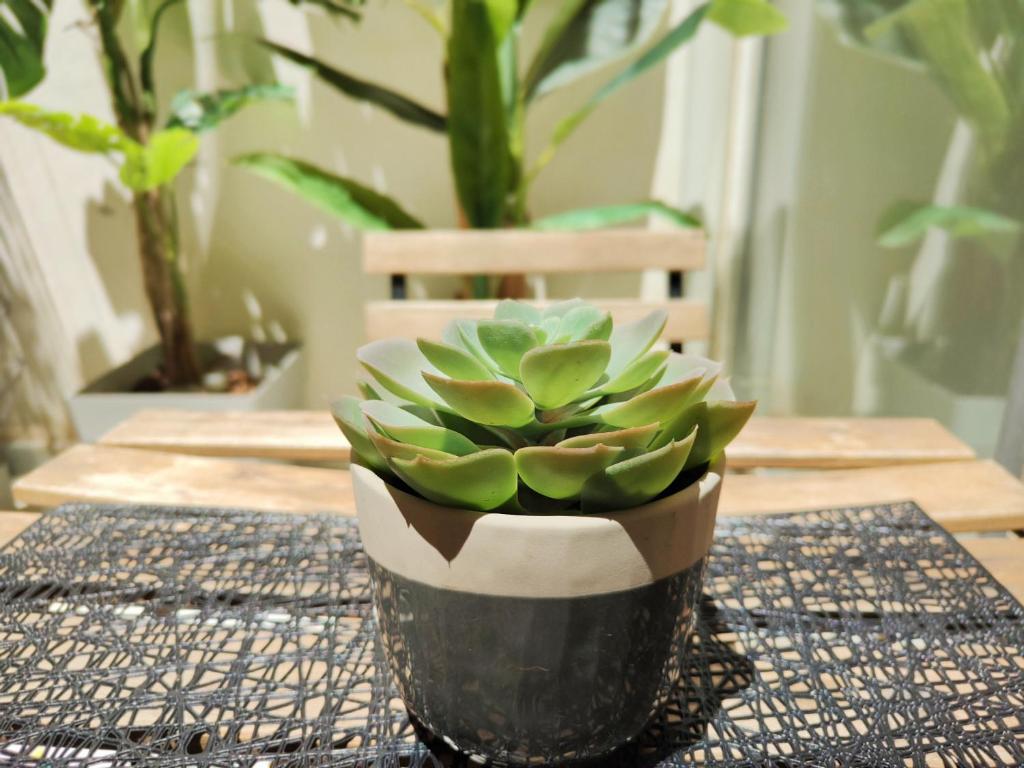 ESTUDIO TRANQUILO EN PLENO CENTRO DE MALAGA - 18