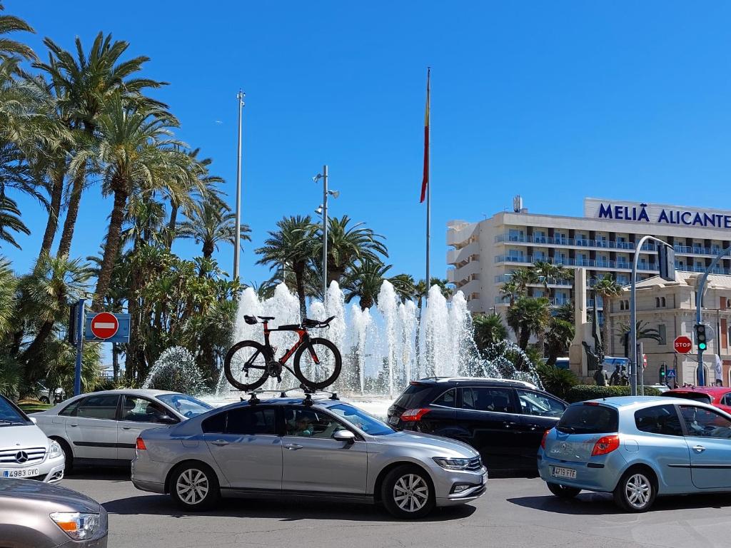 Trafalgar estudio alicante, Alicante – Updated 2023 Prices