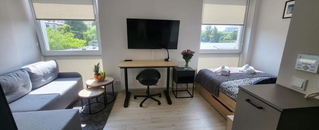 a living room with a couch and a bed and a television at Centrum Prusa STUDIO 210 in Lublin