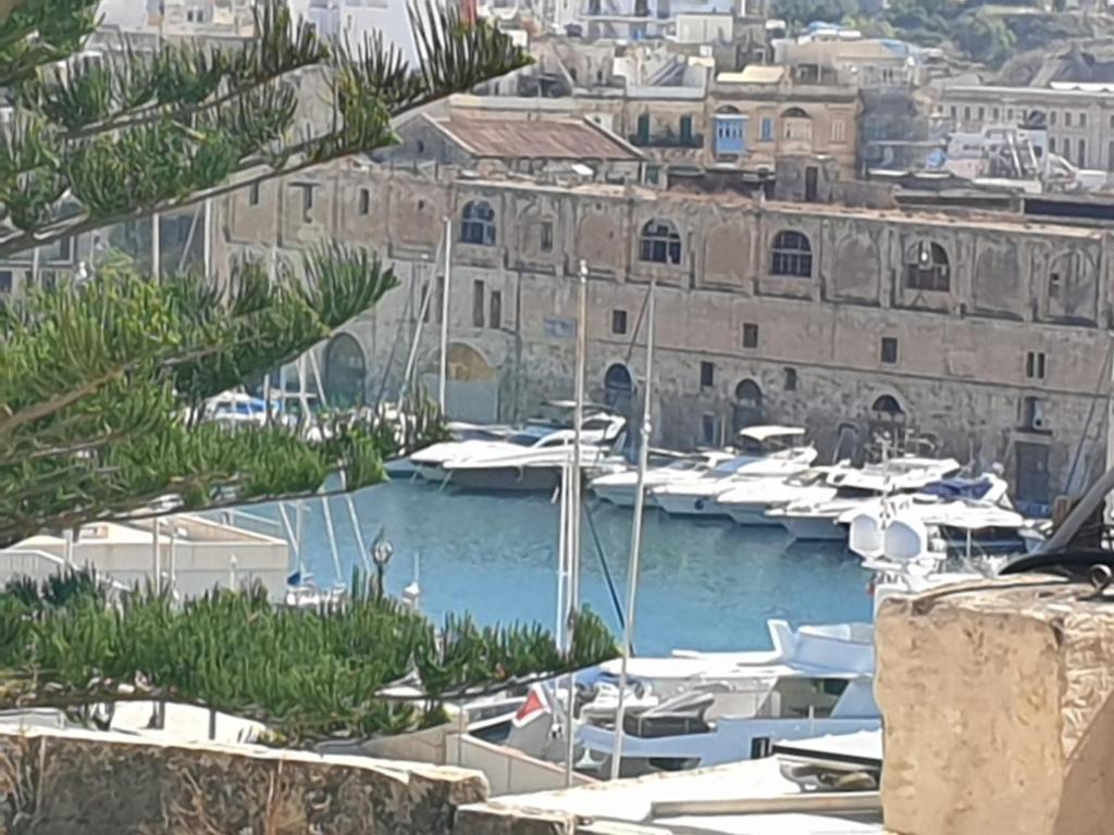 a group of boats docked in a marina at Tifkira (The Memory) in Birgu