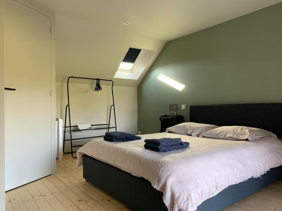 ein Schlafzimmer mit einem großen Bett mit blauen Kissen darauf in der Unterkunft Robert&#39;s Family Petite Maison de Ville in Plancoët