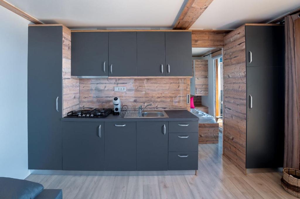 Kuchyň nebo kuchyňský kout v ubytování Mobile home Sparkle TT