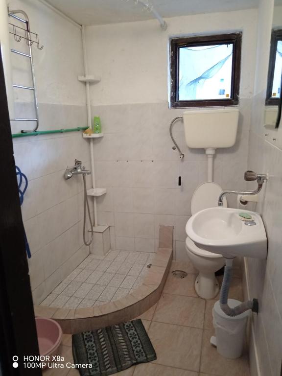 Koupelna v ubytování Apartmani Gina
