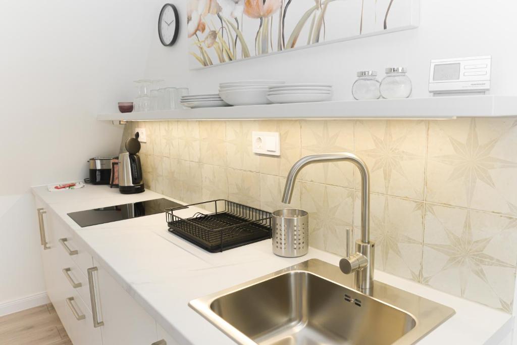 Kuchyň nebo kuchyňský kout v ubytování Raba92 Apartman House