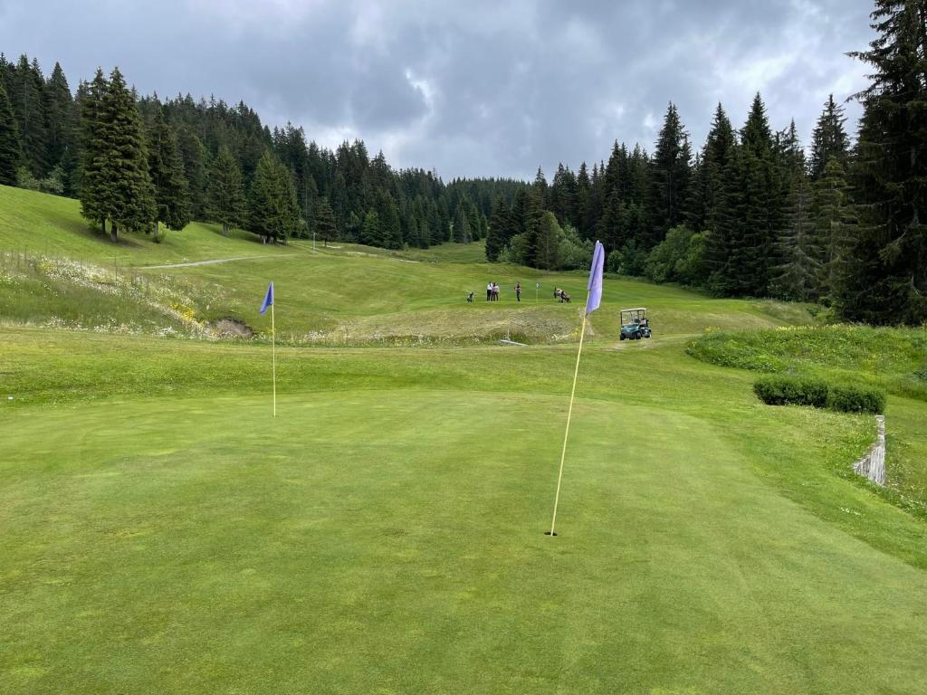 a golf course with two flags on a green field at GESPERE LE STELLA in Les Gets
