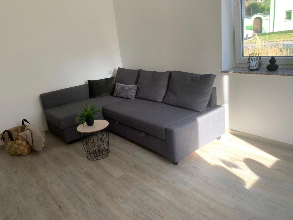 een woonkamer met een grijze bank en een tafel bij Ferienwohnung Malisa in Bad Bibra