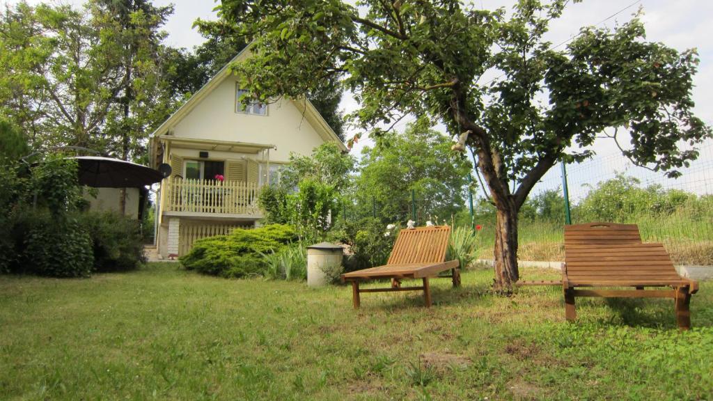 Κήπος έξω από το Csaford Lodge