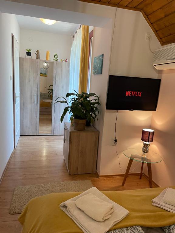 Een TV en/of entertainmentcenter bij Linett Apartman
