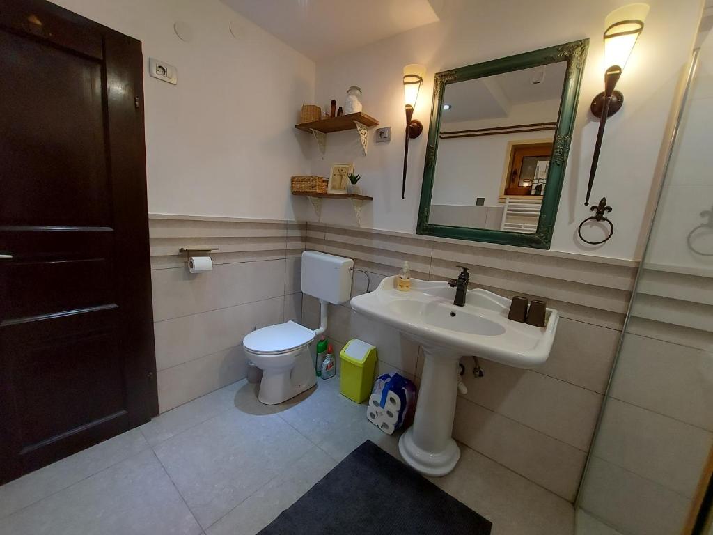 a bathroom with a sink and a toilet and a mirror at Rogla - Chalet Mojca Pokrajculja in Zreče