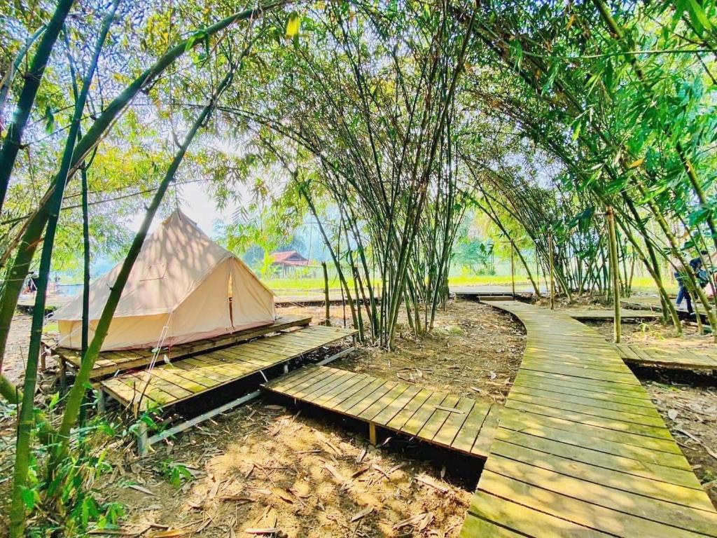 a tent on a wooden path in the woods at V Village Làng quê Việt 
