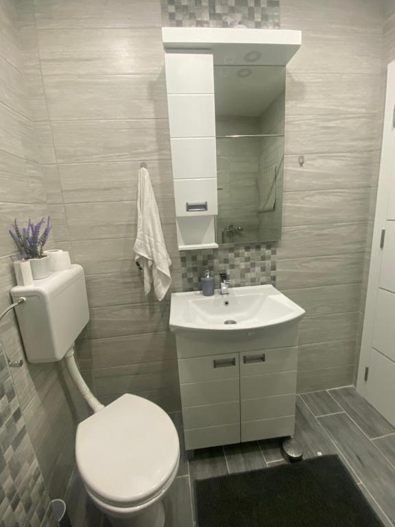 Koupelna v ubytování Apartman Polo