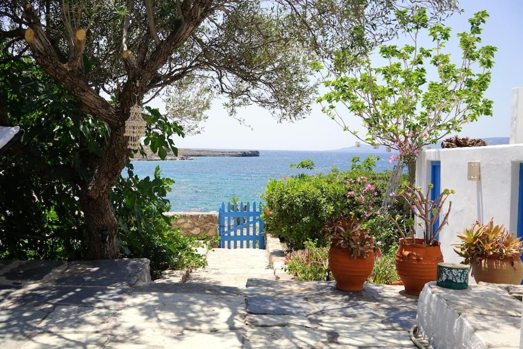 a pathway with plants and a blue fence and the ocean at Rocky Beach House in Kythira