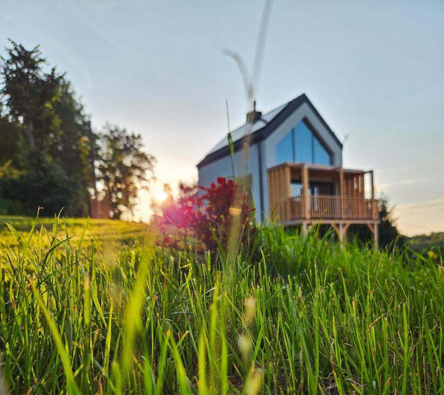 una casa en medio de un campo con hierba alta en Cienista Dolina, 