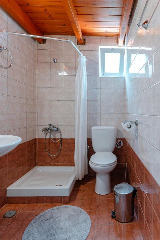 łazienka z toaletą, prysznicem i umywalką w obiekcie A & D Houses No2 w mieście Patras