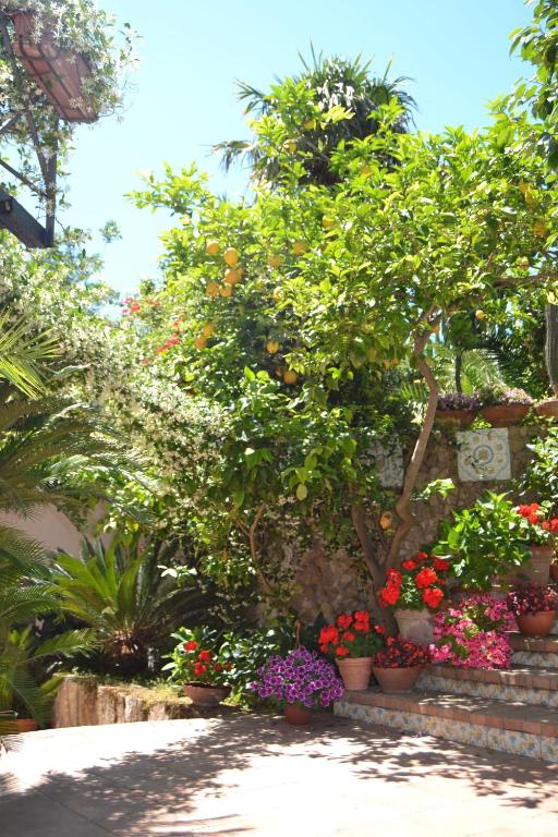 a garden with plants and flowers in pots at Piccolo Tirreno Hotel Residence in Procida