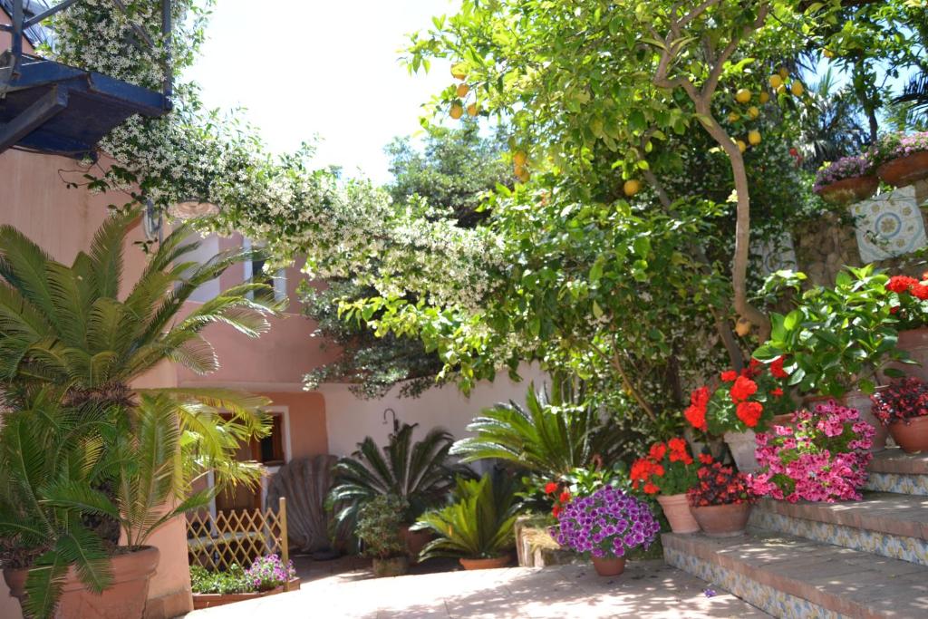 a garden with flowers and plants in pots at Piccolo Tirreno Hotel Residence in Procida