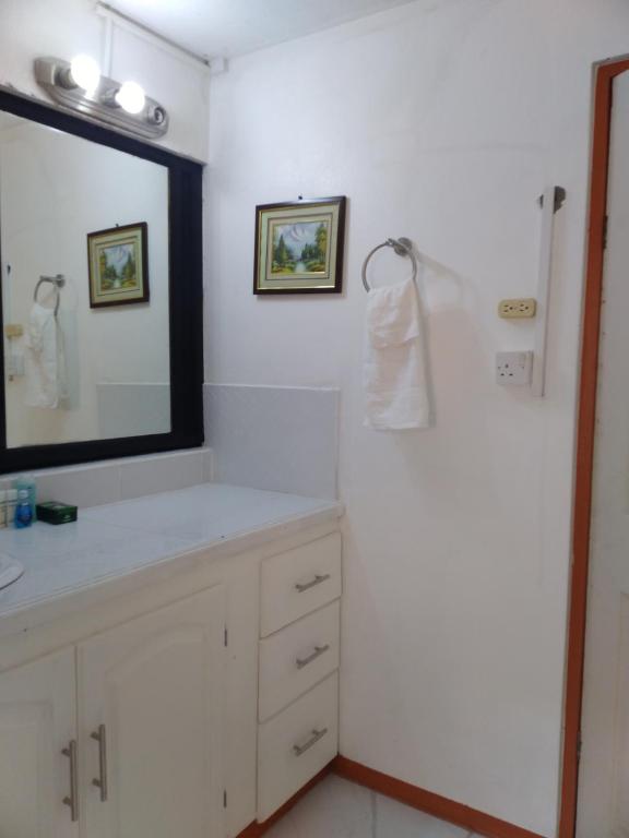 uma casa de banho com um lavatório branco e um espelho. em Alexander's Apartment Carriacou em Carriacou