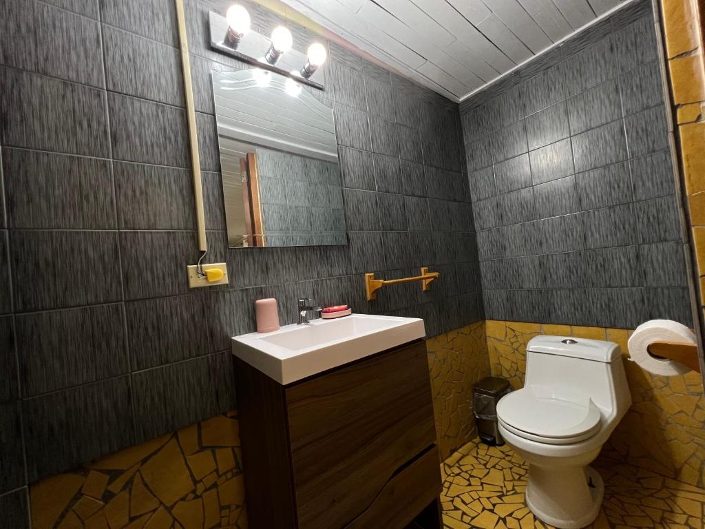 a bathroom with a toilet and a sink and a mirror at Monkey Lodge Panama in Chilibre
