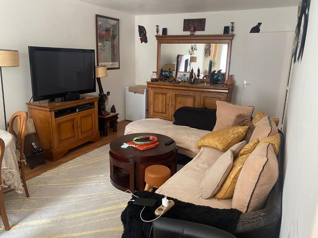 een woonkamer met een bank en een televisie bij Chambre dans une résidence très calme in Nanterre