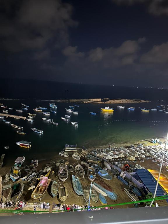 Sea view apartment ultra lux