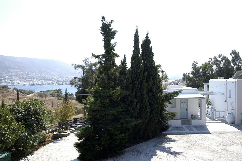 una casa con dos grandes árboles delante de ella en Villas Georgy, en Parikia