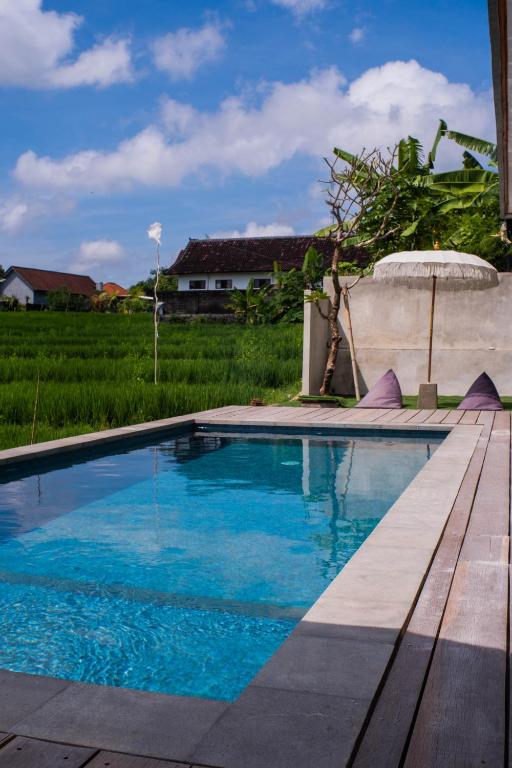a swimming pool with blue water in a yard at Backyard Canggu in Canggu