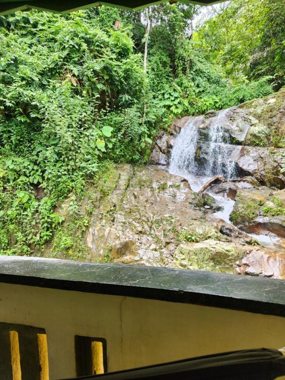 a waterfall on the side of a train at Jungle Inn Bukit lawang in Bukit Lawang