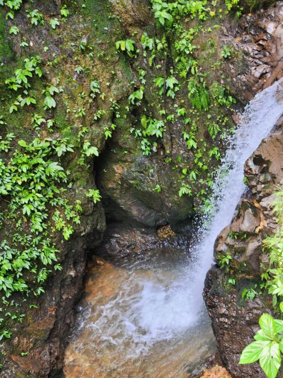 a stream of water running down the side of a rock at Jungle Inn Bukit lawang in Bukit Lawang