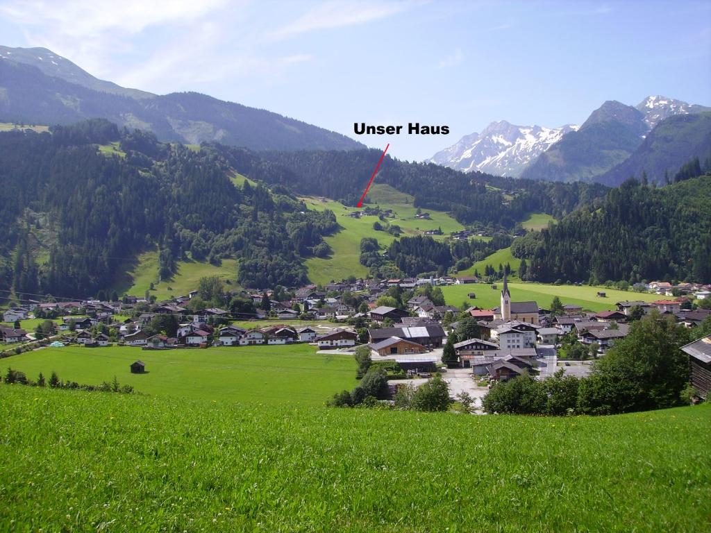 un village dans un champ verdoyant avec des montagnes en arrière-plan dans l'établissement Appartement Hasenauer, à Hollersbach im Pinzgau