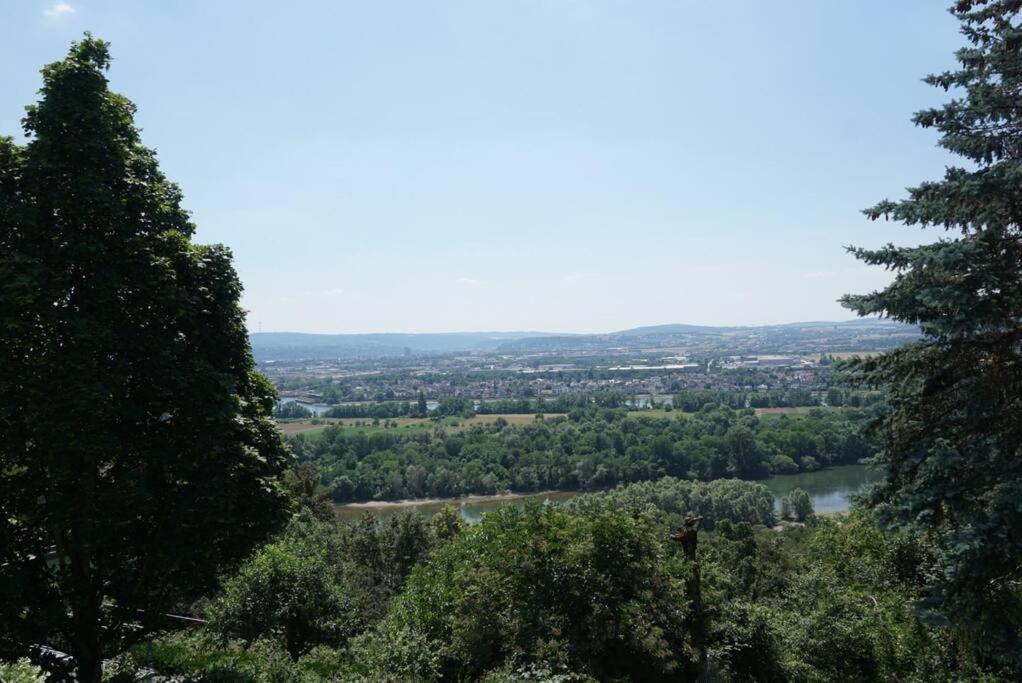 uma vista para um rio através das árvores em Ferienhaus mit schöner Aussicht em Weitersburg