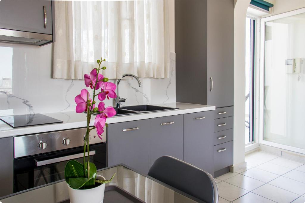 Η κουζίνα ή μικρή κουζίνα στο Beautiful Loft Ilion