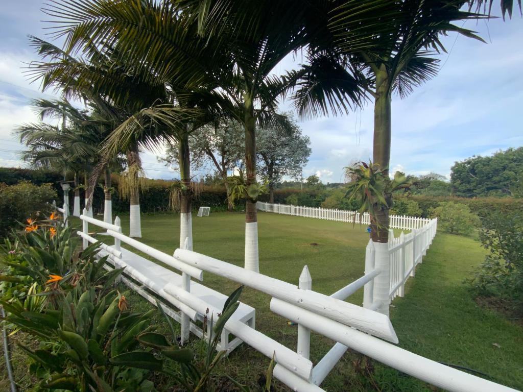 Zahrada ubytování Finca Hotel 12 Palmas- Aeropuerto JMC
